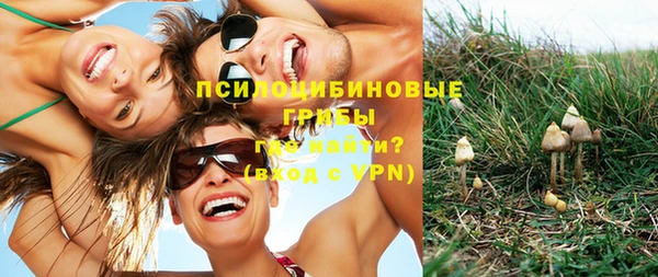 мяу мяу мука Абинск