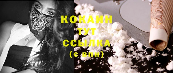 соль ск Абаза
